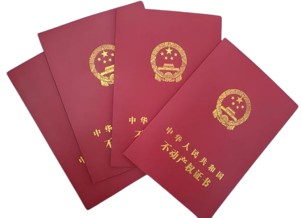 我们的服务内容